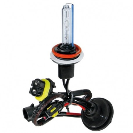 LAMPADA HID H11 8000K (1PC)