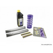 R 1150 GS ADVENTURE 02- LOWERING SPRING KIT -30 MM