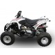 SCARICO GPR ACCESS BAJA 450 SCARICO OMOLOGATO CON RACCORDO DEEPTONE ATV