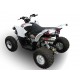 SCARICO GPR ACCESS BAJA 450 SCARICO OMOLOGATO CON RACCORDO DEEPTONE ATV