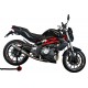 SCARICO GPR BENELLI BN 302 2015/16 SCARICO OMOLOGATO CON RACCORDO DEEPTONE INOX