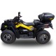 SCARICO GPR CAN AM OUTLANDER 800 PASSO CORTO SCARICO OMOLOGATO CON RACCORDO DEEPTONE ATV