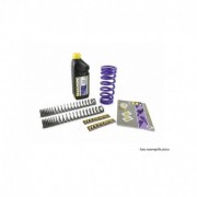 HYPERPRO Kit Molla Anteriore + Posteriore Progressive con olio APRILIA RS 250 EXTREMA 95-97