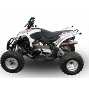 SCARICO GPR COMPATIBILE CON AEON COBRA 400 2010-2021, DEEPTONE ATV