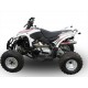 SCARICO GPR COMPATIBILE CON AEON COBRA 400 2017-2020, DEEPTONE ATV
