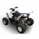 SCARICO GPR COMPATIBILE CON AEON COBRA 400 2017-2020, DEEPTONE ATV