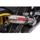 SCARICO GPR COMPATIBILE CON BMW S 1000 RR -M 2010-2014, DEEPTONE INOX