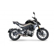 SCARICO GPR COMPATIBILE CON CF MOTO 300 NK 2022-2024, DEEPTONE INOX