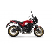 SCARICO GPR COMPATIBILE CON KAWASAKI Z 650 RS 2024-2025, DEEPTONE INOX